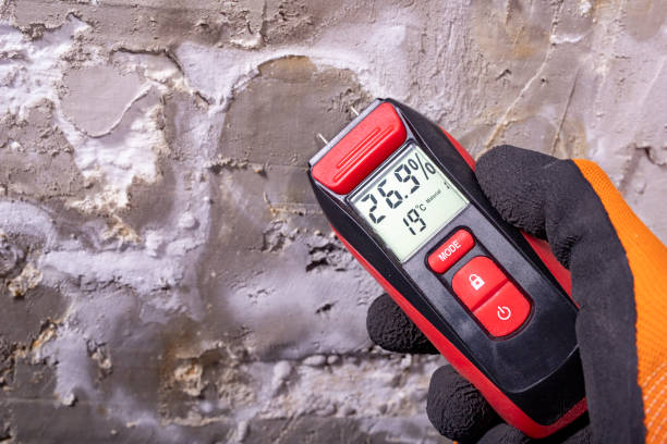 Best Water Damage Restoration  in , AK