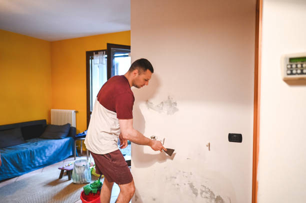 Best Local Mold Removal Service  in , AK